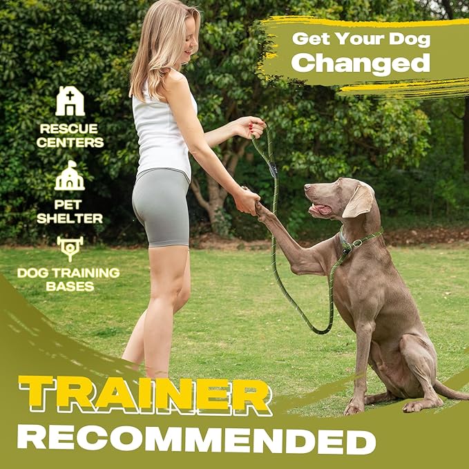 Fida Durable Slip Lead, 6 FT x 1/2" Heavy Duty Loop Leash, Comfortable Strong Rope for Large, Medium Dogs, No Pull Pet Training with Highly Reflective, Green