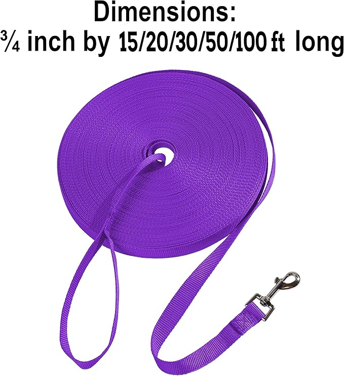 Hi Kiss Dog/Puppy Obedience Recall Training Agility Lead - 15ft 20ft 30ft 50ft 100ft Training Leash - Great for Training, Play, Camping, or Backyard Purple 30 Feet