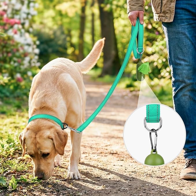 Joytale Dog Leash, 4 FT Double-Sided Reflective, Padded Handle Nylon Heavy Duty Leashes for Medium & Large Dogs Walking, Teal