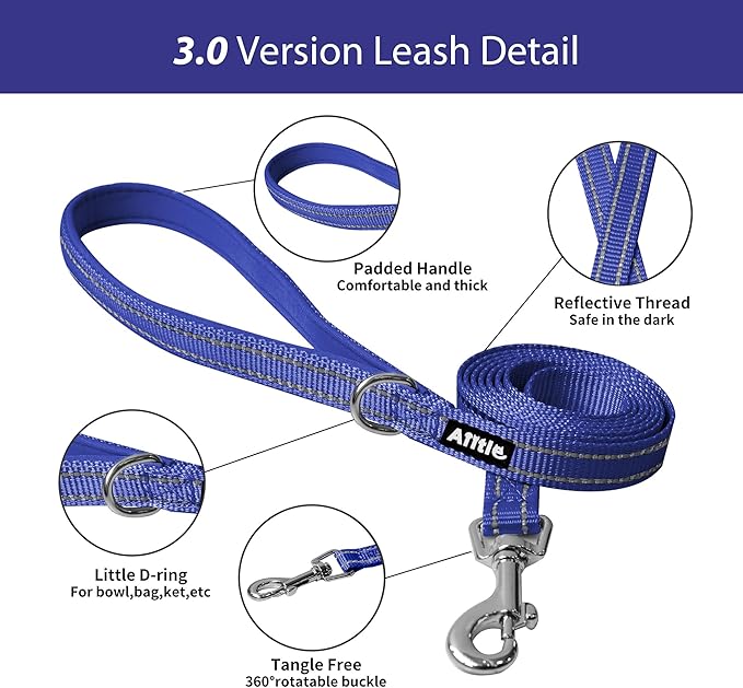 AIITLE Small Harness for Puppy with A Leash - Dog Vest Harness with Super Breathable Mesh, Reflective No-Pull Pet Harness for Outdoor Walking, Running for Small Dogs, Cats Royal Blue XXS