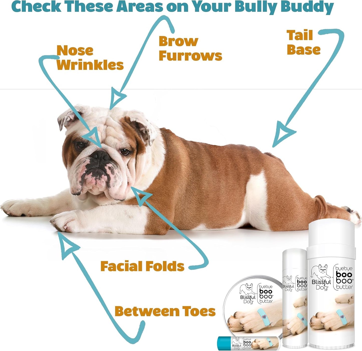 The Blissful Dog 4 oz TIN Bulldog Booboo Butter