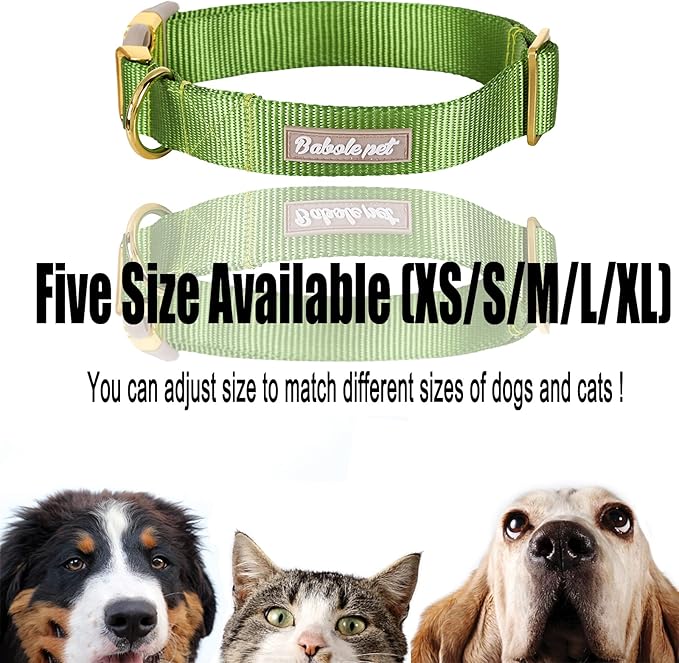 Nylon Dog Collar - Adjustable Green Soft Webbing Dog Collars for Small Medium Large Dogs Boy Girl Puppy Collar with Safety Metal Buckle M