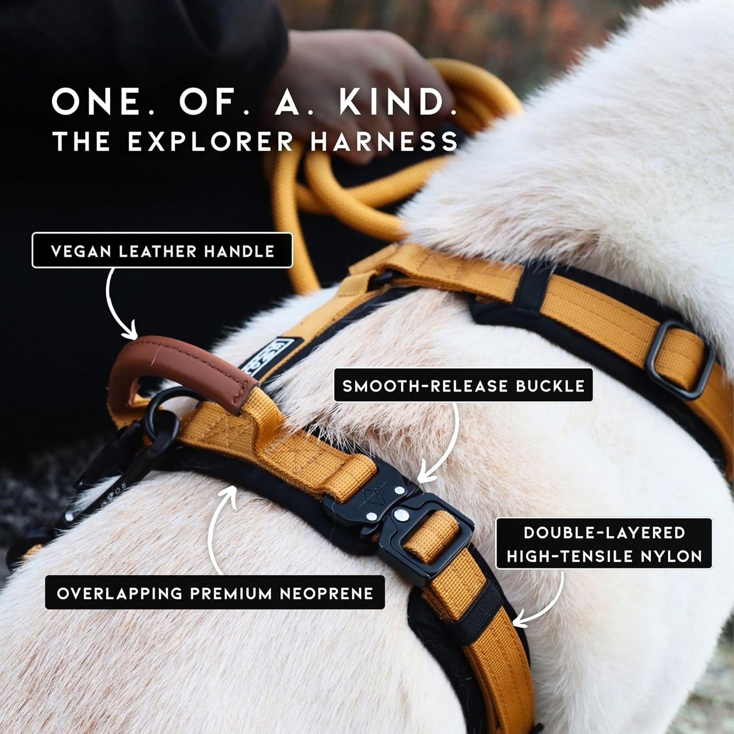 MADE TO ROAM Premium Explorer Harness - Y-Shaped Dog Harness with Adjustable Durable Nylon, Soft Padding, Metal Buckles and Leather Handle for Small, Medium, Large Dogs (New York Afterlight, Size 3)