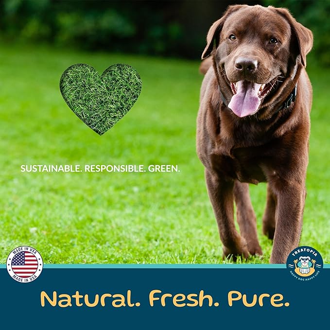 TREATOPIA Beef Lung Nuggies Dog Treats, 2 LB Bag - All-Natural, Sustainable, Healthy, High Protein, Hand-Trimmed, Slow-Roasted, Made in The USA, Nutritious, No Additives, No Fillers