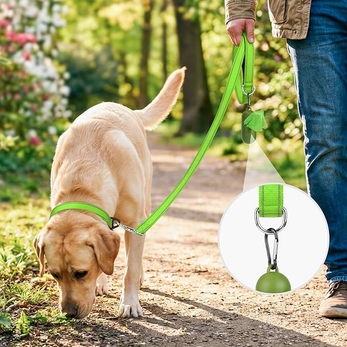 Joytale Dog Leash, 5 FT Double-Sided Reflective, Padded Handle Nylon Heavy Duty Leashes for Medium & Large Dogs Walking, Green