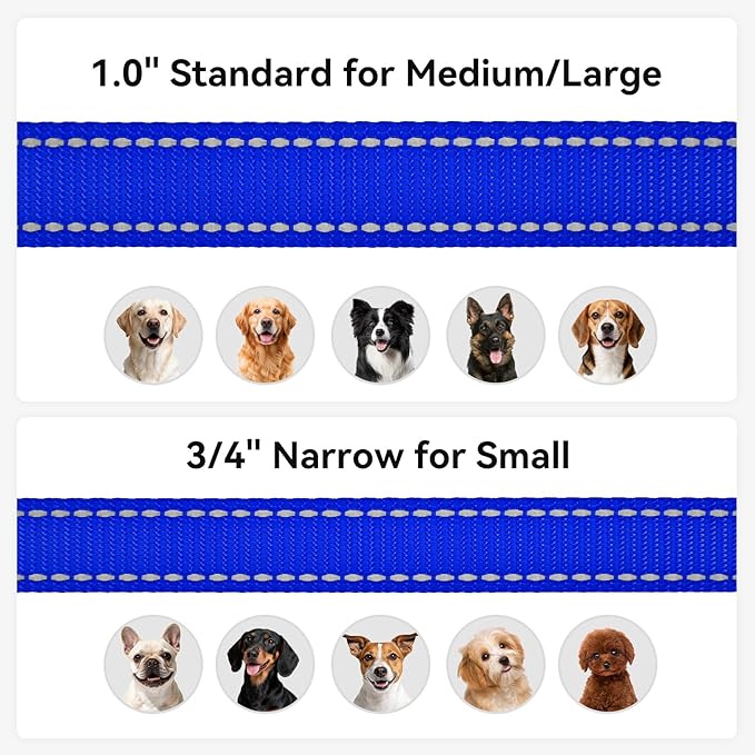 Joytale Dog Leash, 5 FT Double-Sided Reflective, Padded Handle Nylon Heavy Duty Leashes for Medium & Large Dogs Walking, Navy Blue