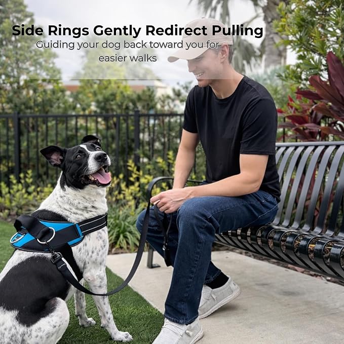 ShawnCo Essential Dog Harness, No-Pull Pet Vest with 3 Leash Clips, No Choke, Reflective, Adjustable and Padded, for Easy Walking and Training for Small, Medium and Large Dogs (Freckle's Garden, XL)