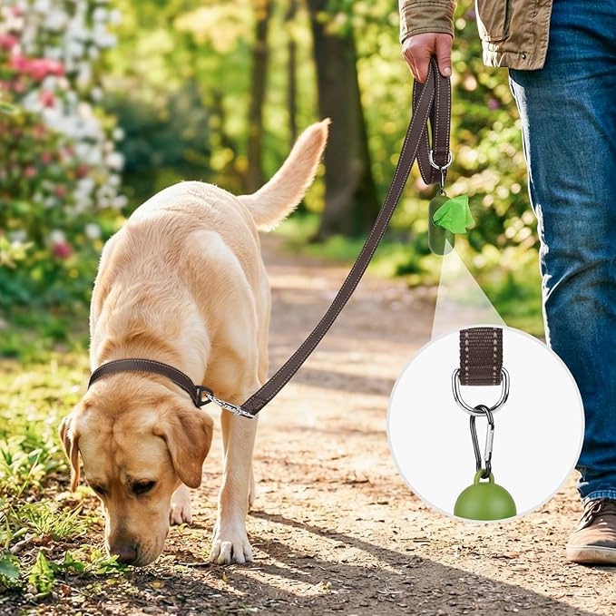 Joytale Double-Sided Reflective Dog Leash, 6 FT/5 FT/4 FT, Padded Handle Nylon Heavy Duty Leashes for Small & Medium Dogs Walking, Brown, 6FT