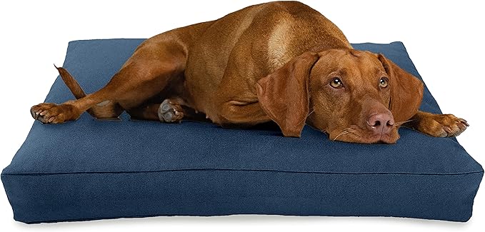 XX-Large - 54 x 36 x 6 - Blueberry Premium Organic Hemp Dog Bed - Organic Latex Fill - Removeable Cover