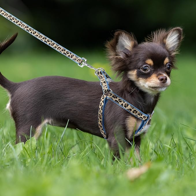 Mile High Life Leopard Dog Harness Collar Leash Set, Adjustable No Pull Dog Halter Harness for Small Breed Dogs, Easy Control for Training Walking (Blue, S Chest 11"-18", Neck 10"-14")