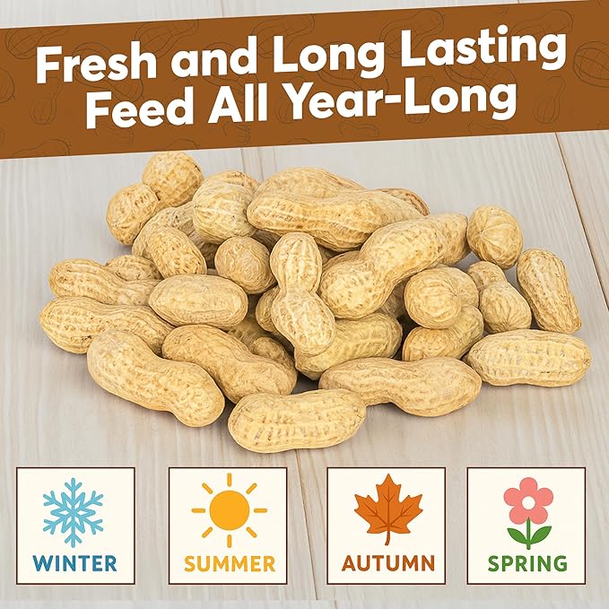 3 LB - Raw Peanuts For Squirrels, Raw In Shell Peanuts For Birds and Wildlife- Squirrel Food, Wild Bird Seed - Grown in The USA