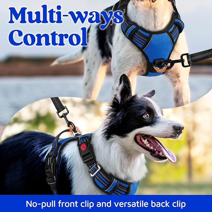 rabbitgoo Dog Harness for Large Dogs, No Pull Pet Vest with 3 Buckles, Adjustable Soft Padded Pet Harness with Easy Control Handle and Reflective Strips, Royal Blue, L