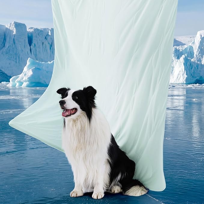 Bedsure Cooling Blanket for Large Dogs with Breathable Air-Core Fill Q-MAX>0.4 - Dog Cooling Mat Soft, Lightweight Pet Cat Throw Cold Blanket Washable for Summer, Pale Jade, 40x50
