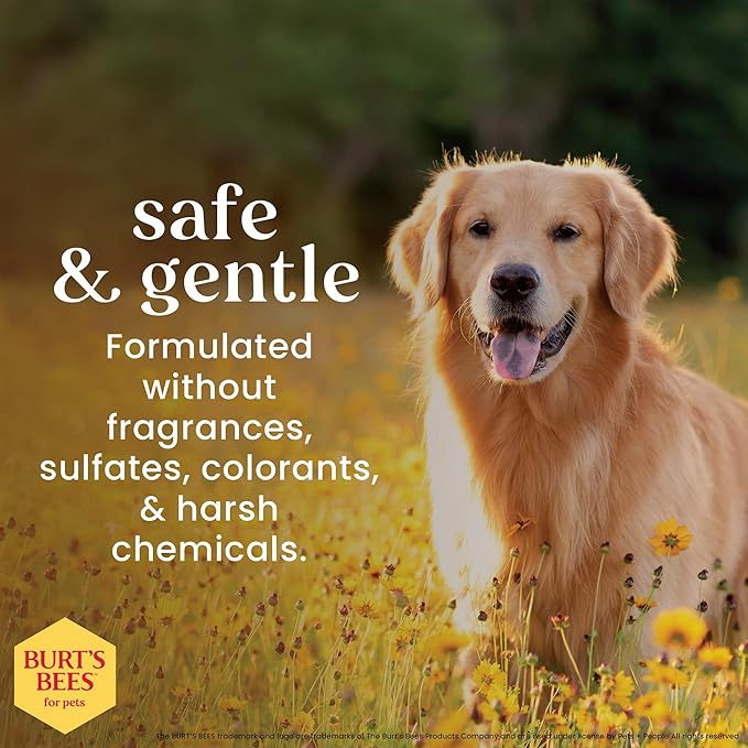 Burt’s Bees for Pets Oatmeal Dog Shampoo with Honey, Soothing Dog Shampoo for Itchy and Sensitive Skin, pH Balanced Formula that Gently Cleans and Moisturizes Dog Coats, 32 Fl Oz - 2 Pack