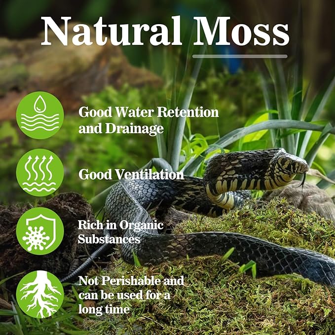 Sukh Sphagnum Moss for Reptiles -Terrarium Moss for Reptiles Peat Moss for Reptiles Habitat Bedding Moss for Snakes Turtle Frog Gecko and Other Reptiles Substrate (6.3, Ounces)