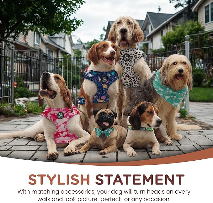 No Pull Harness and Leash Set - 6-in-1 Adjustable Vest Harness and Collars for Medium and Large Dogs. (Military Pink, Small)