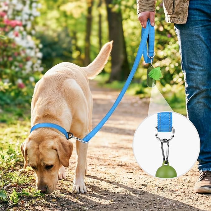 Joytale Dog Leash, 4 FT Double-Sided Reflective, Padded Handle Nylon Heavy Duty Leashes for Medium & Large Dogs Walking, SkyBlue