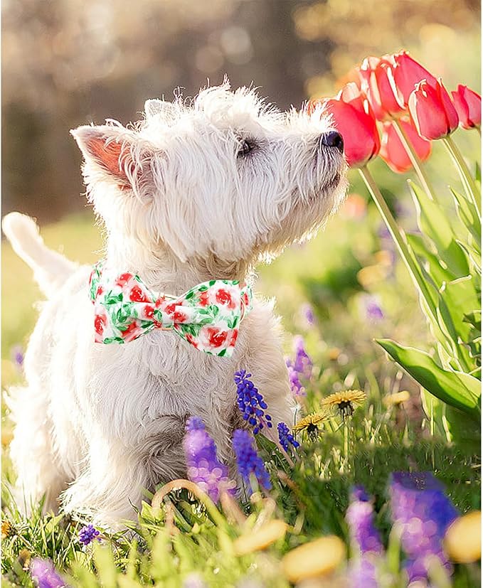 Lionheart glory Dog Collar Bow Collar Floral Dog Collar with Bow Tie Spring Summer Cute Collar Dog Boy or Girl Dog Collars Soft Durable Adjustable Dog Collars for Large Dogs