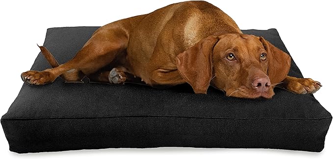 X-Large - 48 x 30 x 5 - Black Premium Organic Hemp Dog Bed - Organic Latex Fill - Removeable Cover