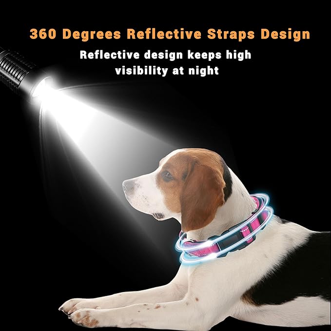 2 Pack Reflective Dog Collar with Safety Locking Buckle, Adjustable Soft Breathable Comfortable Nylon Pet Collar for Small, Medium and Large Dogs, Hotpink, S