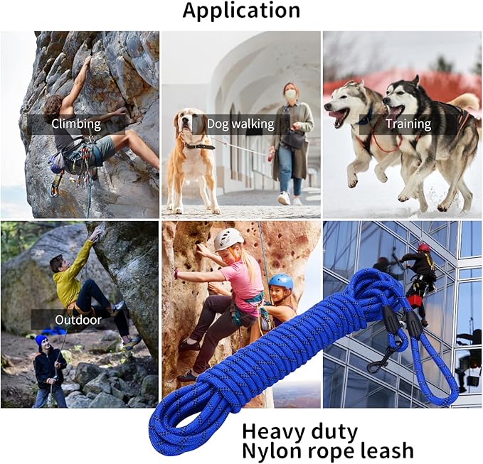 Long Dog Leash for Training 20Ft-Reflective Nylon Rope with Swivel Hook-Recall Agility Lead for Large Small Medium Dogs Outside Walking Hiking-Royal Blue