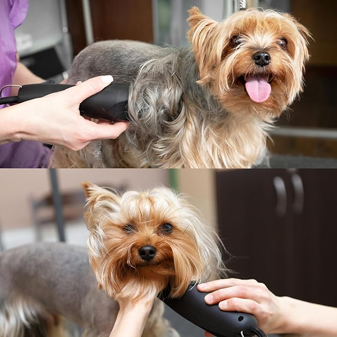 Detachable A Series 7 Skip Tooth Blade Dog Grooming Cuts Length 1/8" - 3.2mm Japanese High Carbon Steel 7 Dog Grooming Blade Supplies | Detachable Blade Clippers (Compatible A5 Series(B7)