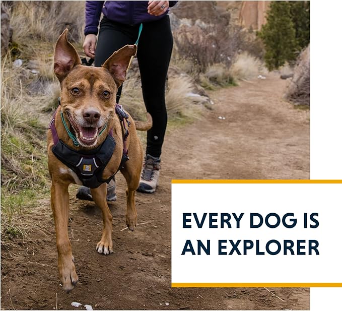 Ruffwear, Web Master, Multi-Use Support Dog Harness, Hiking and Trail Running, Service and Working, Everyday Wear, Red Canyon, X-Small