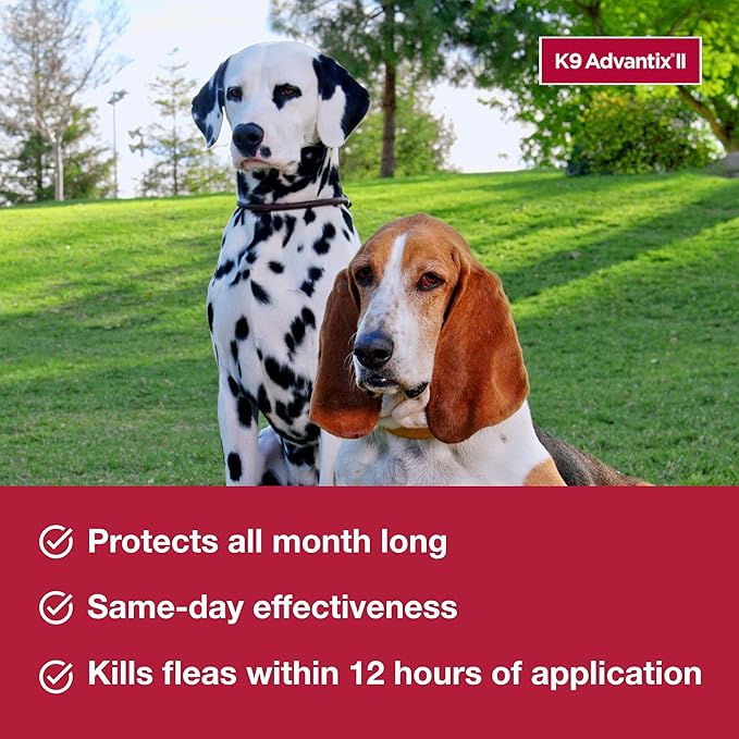 K9 Advantix II XL Dog Vet-Recommended Flea, Tick & Mosquito Treatment & Prevention | Dogs Over 55 lbs. | 1-Mo Supply (Pack of 3)