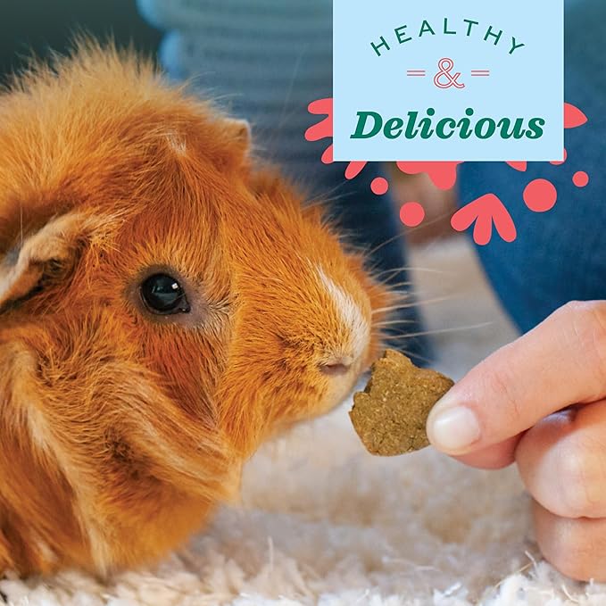 Oxbow Simple Rewards Timothy Hay Small Animal Treats, Healthy Guinea Pig, Rabbit, Chinchilla, and Hamster Snacks Made with High-Fiber Timothy Hay, Natural, Low Calcium Pet Treats, 3 oz Bag