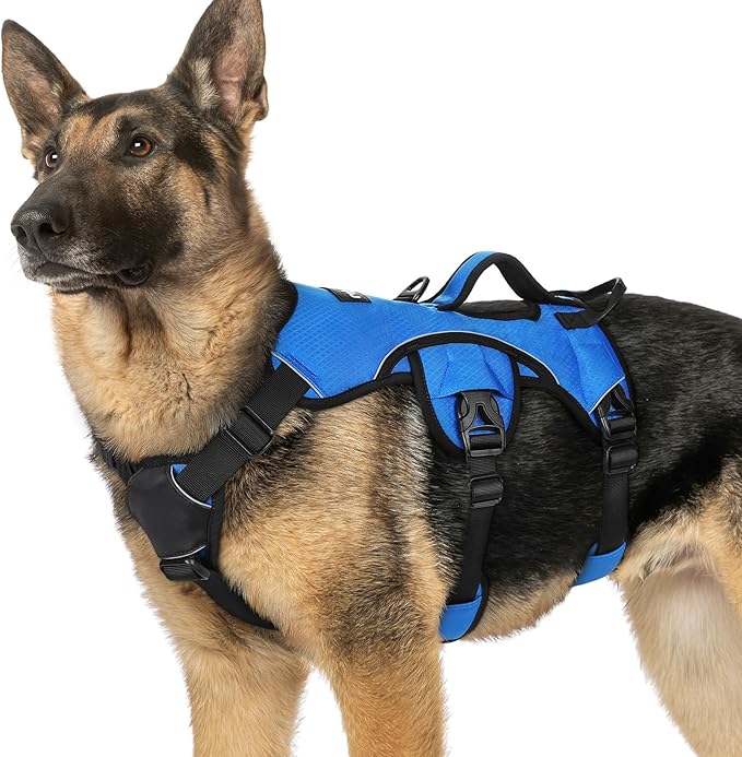 rabbitgoo Escape Proof Dog Harness, Soft Padded Full Body Pet Harness, Reflective Adjustable No Pull Vest with Lift Handle and Leash Clip for Large Dogs Walking Hiking Training, XL, Blue