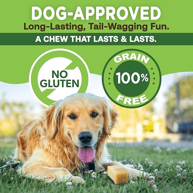 EcoKind Himalayan Yak Cheese Dog Chew | Great for Dogs, Treat for Dogs, Keeps Dog Busy & Enjoying, Indoors & Outdoor Use (8 Small Sticks)