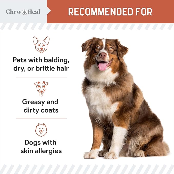 Fish Oil Omega 3 Supplements for Dogs -360 Soft Chew Treats for Skin and Coat -Salmon Oil Blend of Fatty Acids, Omega 3, 6, Vitamins, Antioxidants -Made in USA (2 Packs of 180, Salmon Flavor)