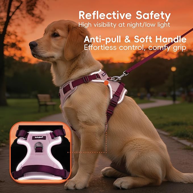 3 in 1 No Pull Dog Harness Leash and Collar Set, Soft Adjustable Dogs Vest Reflective and Comfortable Handle Pink Small