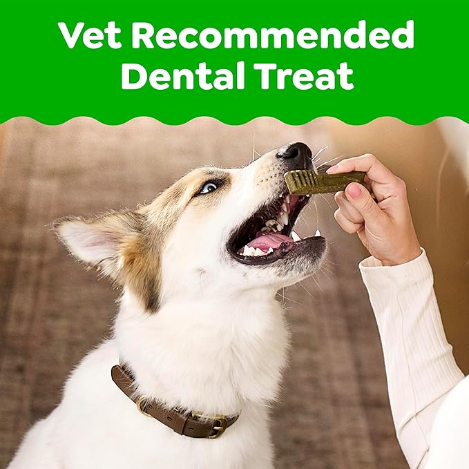 Greenies Veterinarian-Recommended Adult Natural Dental Dog Treats Petite Size, Fresh Flavor, 12 oz. Pack, 20 Count