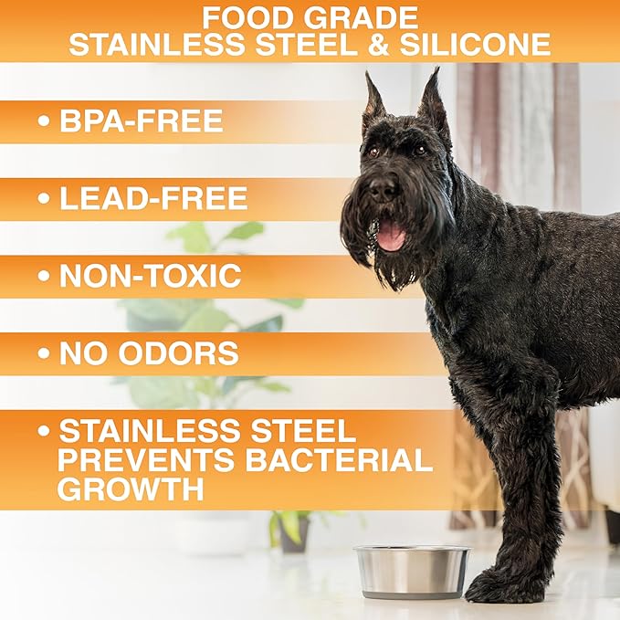 Neater Pet Brands Stainless Steel Dog Bowls with Non-Slip Rubber Bottom – 2 Cup (16 oz), Gray - Set of 2 Heavy Duty Metal Dog Bowls, Dishwasher Safe, Food or Water Bowl, Ideal for Small Dogs & Cats