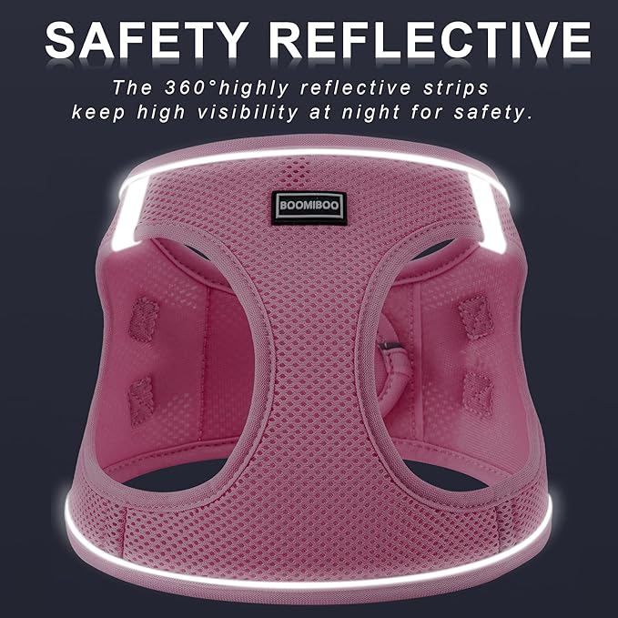 Dog Harness with Leash Set, No Pull Adjustable Reflective Step-in Puppy Pet Vest Harnesses for Small Medium Large Dogs and Cats,Cranberry XS