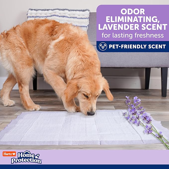 Hartz Home Protection Super Absorbent Odor Eliminating Lavender Scented No Leak Dog Pads, 50 count