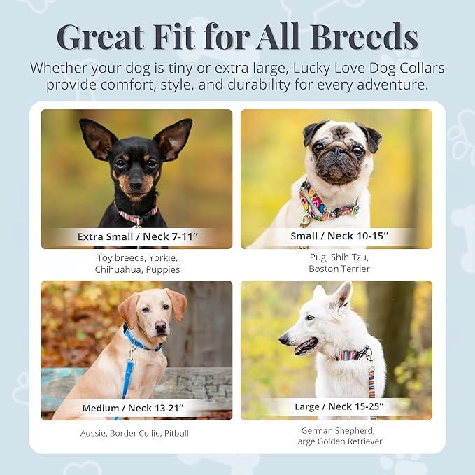 Lucky Love Dog - Adjustable Dog Collar with Easy Click Buckle for Medium Dogs, Durable, & Comfortable for Male & Female Dogs, Pet Collar for Puppies & Adult Ones - Penny, Medium