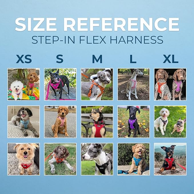Best Pet Supplies Voyager Adjustable Step-in Flex Breathable Mesh Dog Harness for Small Medium Large Dogs (Orange), XL