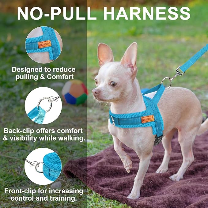 BEAUTYZOO Dog Harness for Small Dogs, No Pull Dog Harness and Leash Set, Soft Escape Proof Puppy Vest Harness with Handle, Reflective Lightweight Step in Harness for Girl Boy Dogs, Blue XS