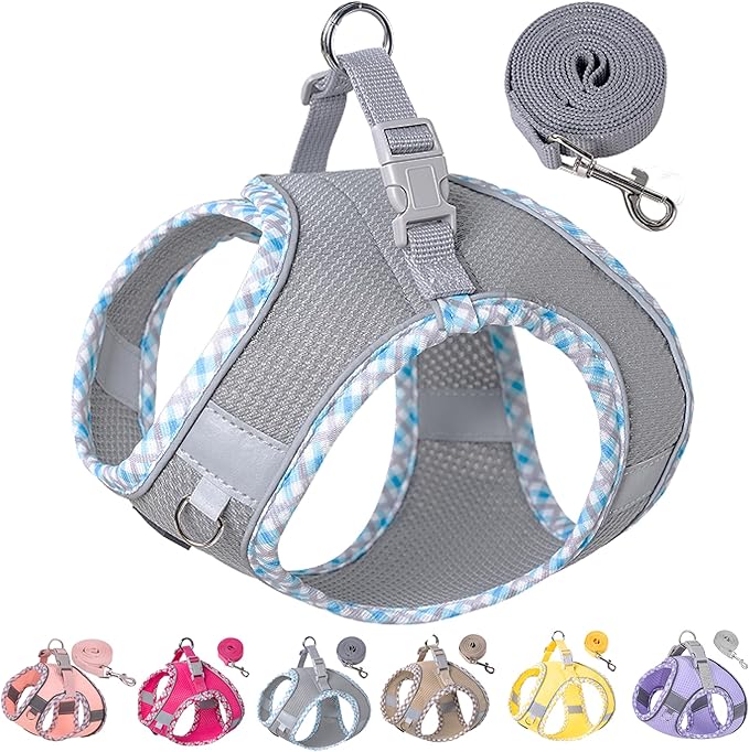 Petank Dog Harness for Small Medium Dogs No Pull, Puppy Harness and Leash Set for Walking, Running, Training, Small Dog Harness, Medium Dog Harness (Grey, XS)