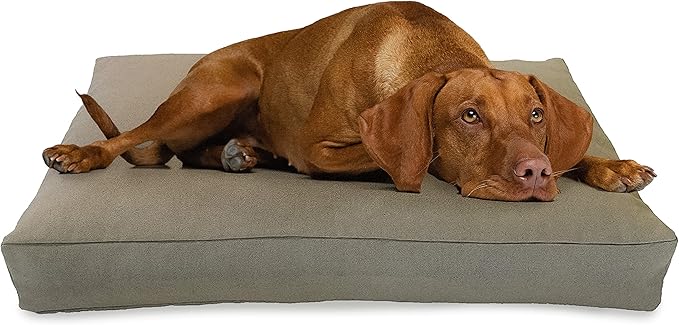 XX-Small - 18 x 12 x 4 - Natural Premium Organic Hemp Dog Bed - Organic Latex Fill - Removeable Cover