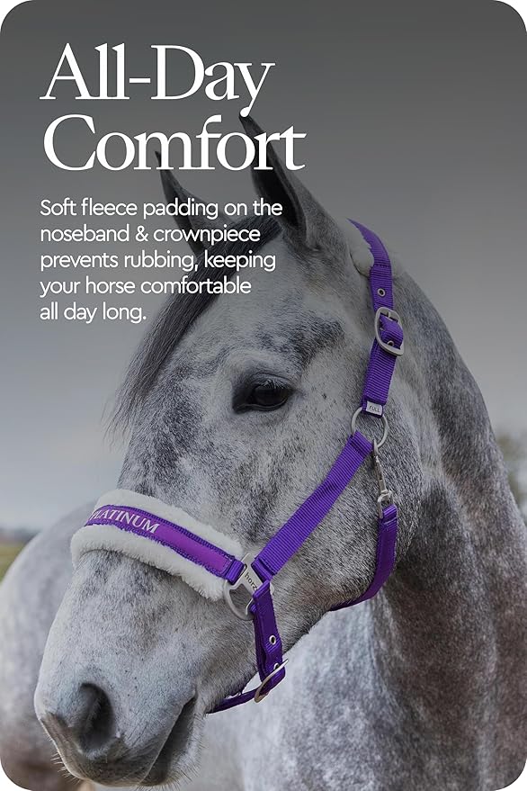 HORZE Howard Soft Fleece Padded Adjustable Polyester Horse Halter - Purple - Pony