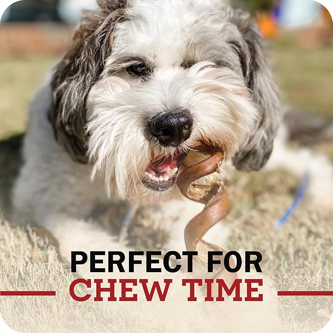 Redbarn 12" Bully Sticks for Dogs, Wrapped & Tagged Pet Chew Treat, Pack of 35