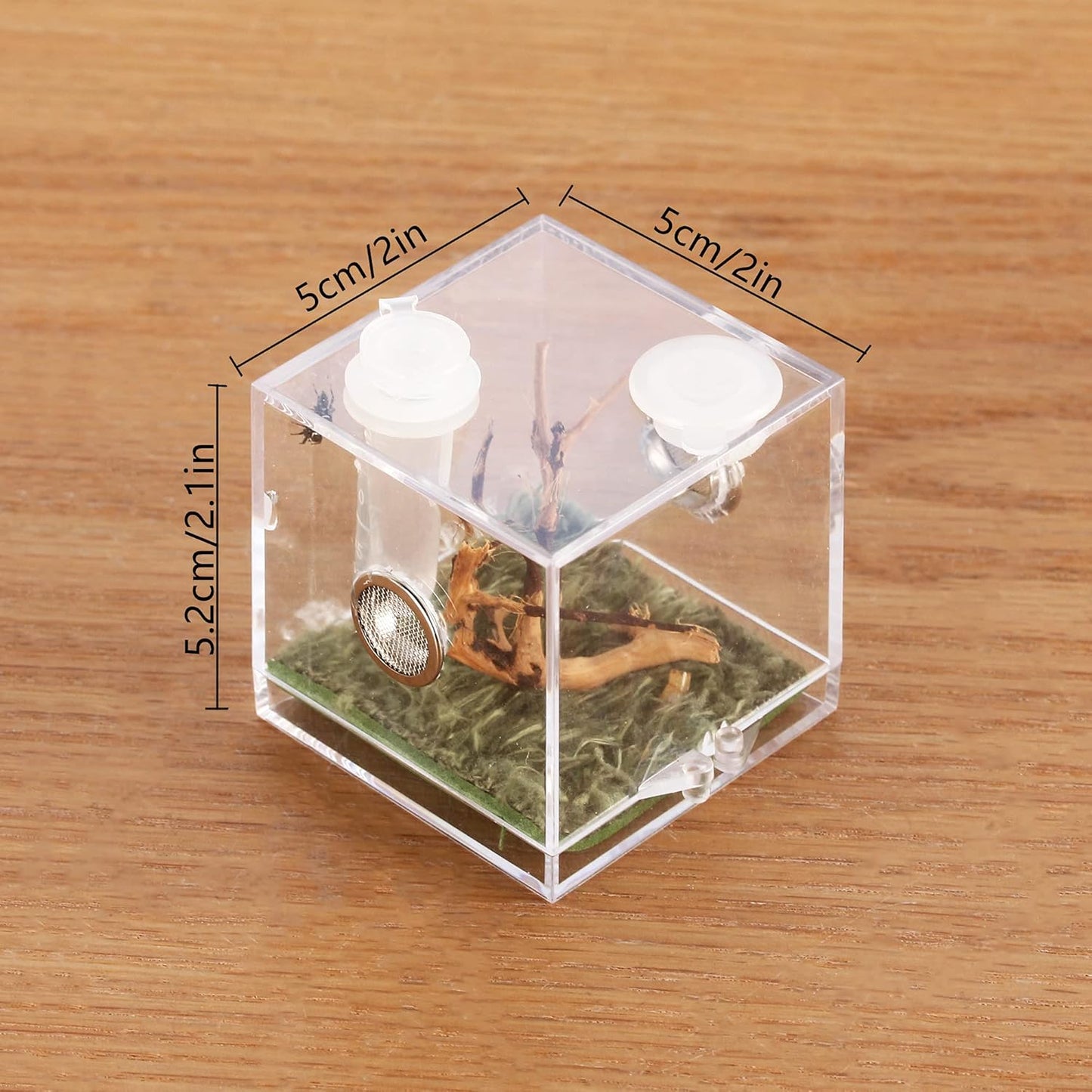 crapelles Jumping Spider Micro Middle Habitat, Small Pet Insect Breeding Box, 360 Degree Transparent Reptile Cage, Acrylic Case Mini Carrier for Amphibians, Feeding Container Enclosure Accessories