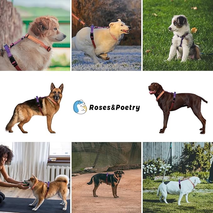 Roses&Poetry Puppy Dog Harness and Leash Set, No Pull Dog Harness Adjustable Reflective, Dog Halter Harnesses Comfort Padded Handle, Pet Harness for Training Outdoor Walking（Mistyrose-XS