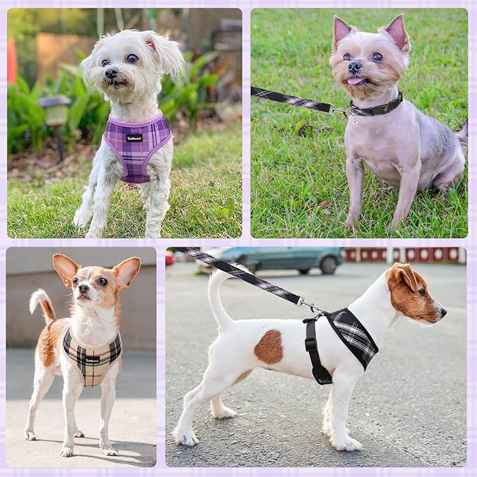 SCENEREAL No Pull Dog Harness Collar and Leash Set Small Medium Sized Dog, Soft Mesh Puppy Harnesses, No Chock Plaid Adjustable Pet Vest for Outdoor Walking Training and Running, Black XS