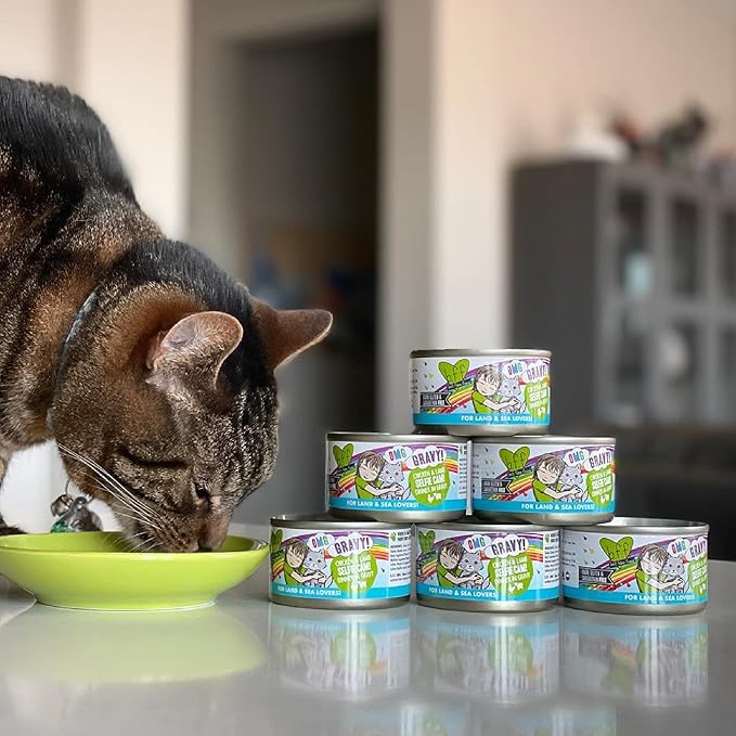 Weruva B.F.F. OMG - Best Feline Friend Oh My Gravy!, Tuna & Chicken Chase Me with Tuna & Chicken, 5.5oz Can (Pack of 8)