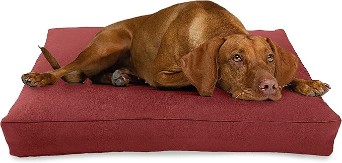 XX-Large - 54 x 36 x 6 - Cranberry Premium Organic Hemp Dog Bed - Organic Latex Fill - Removeable Cover