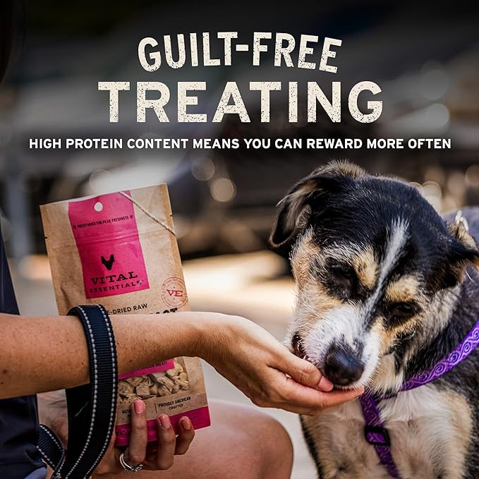 Vital Essentials Single Ingredient Beef Liver Dog Treats, 2.1 oz | Freeze-Dried Raw | Premium Quality High Protein Training Treats | Grain Free, Gluten Free, Filler Free
